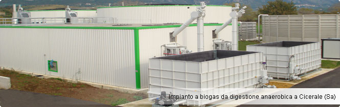 Impianti biomasse